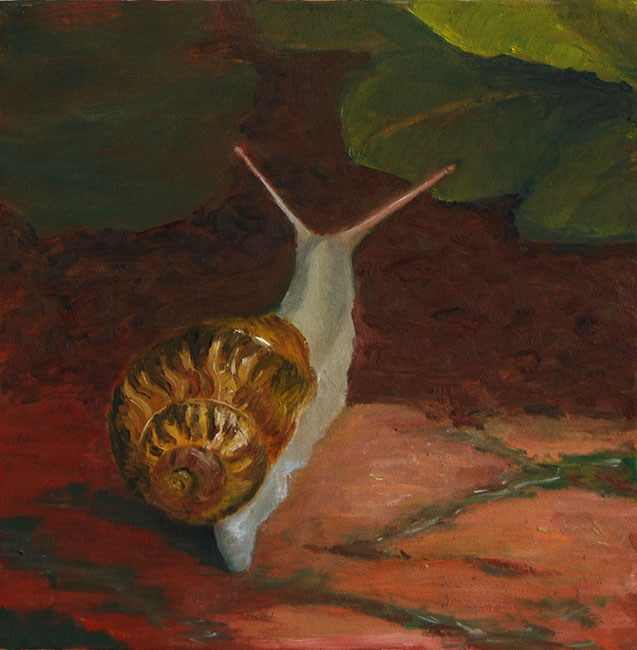 06_Schnecke_30x30