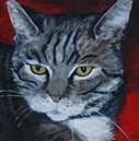 15_Kater_30x30