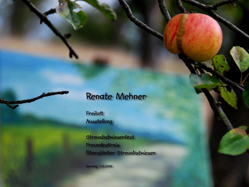 001_renate_mehner_ausstellung_01